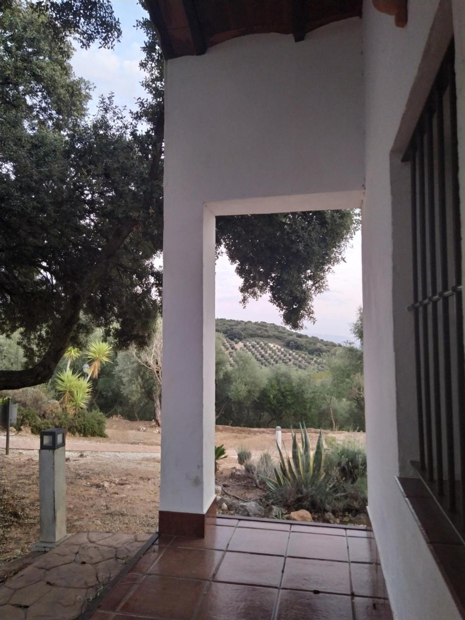 Casas Rurales Cortijo La Canada Estepa Zimmer foto