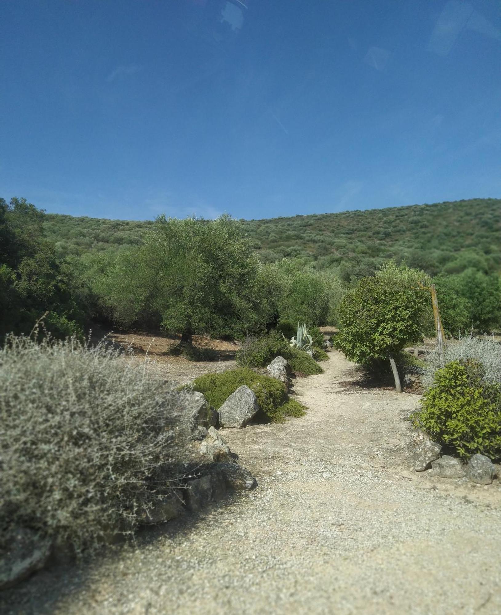 Casas Rurales Cortijo La Canada Estepa Zimmer foto
