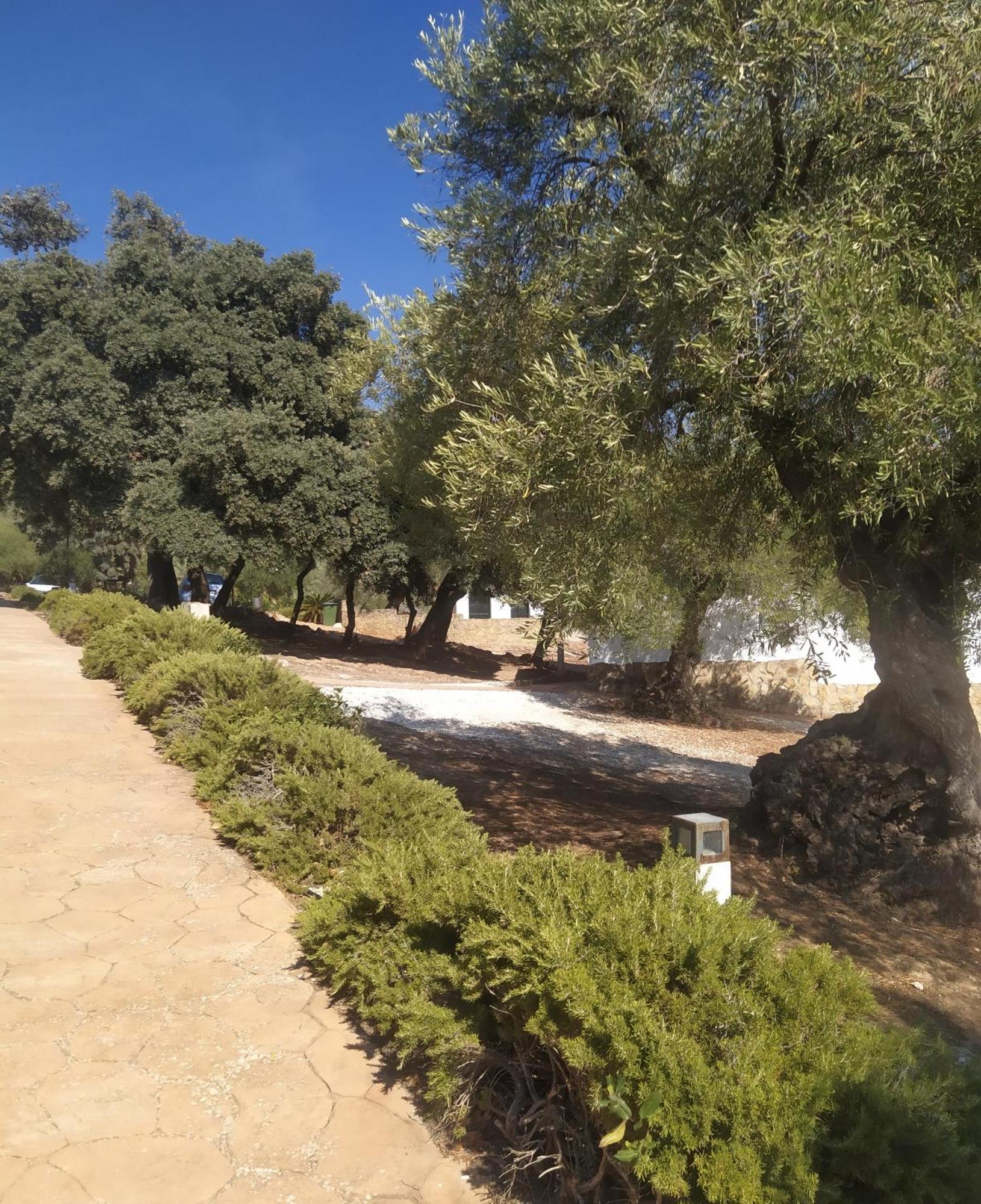 Casas Rurales Cortijo La Canada Estepa Zimmer foto