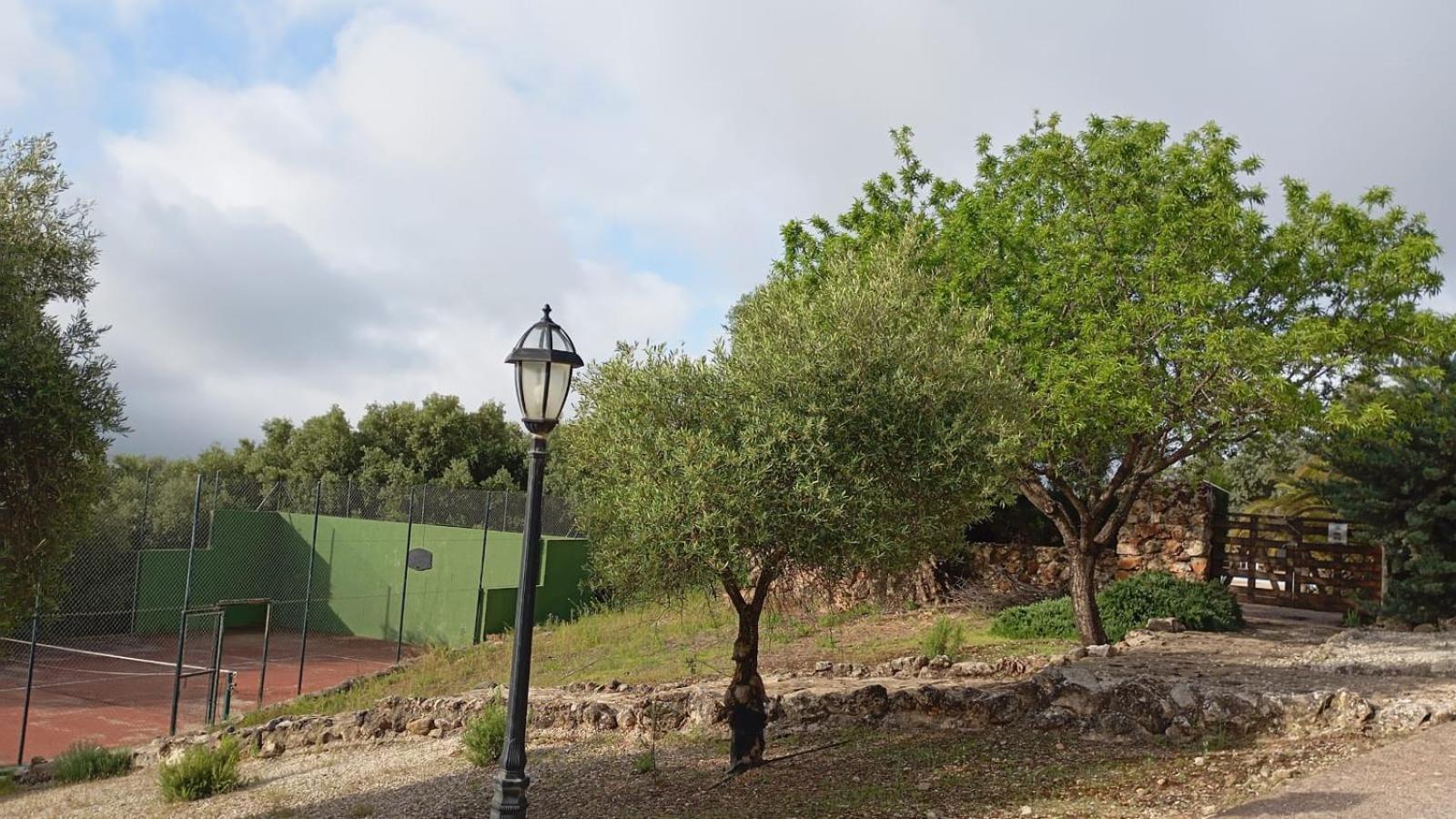 Casas Rurales Cortijo La Canada Estepa Exterior foto