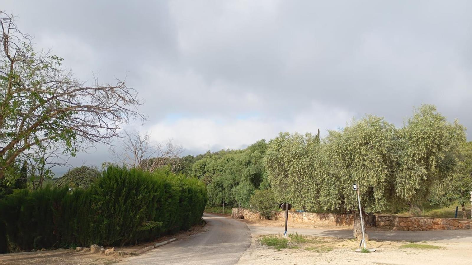 Casas Rurales Cortijo La Canada Estepa Exterior foto