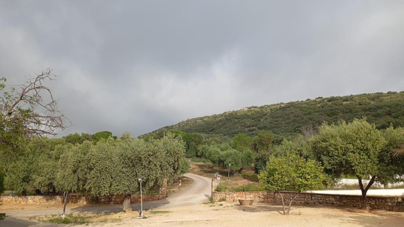 Casas Rurales Cortijo La Canada Estepa Exterior foto
