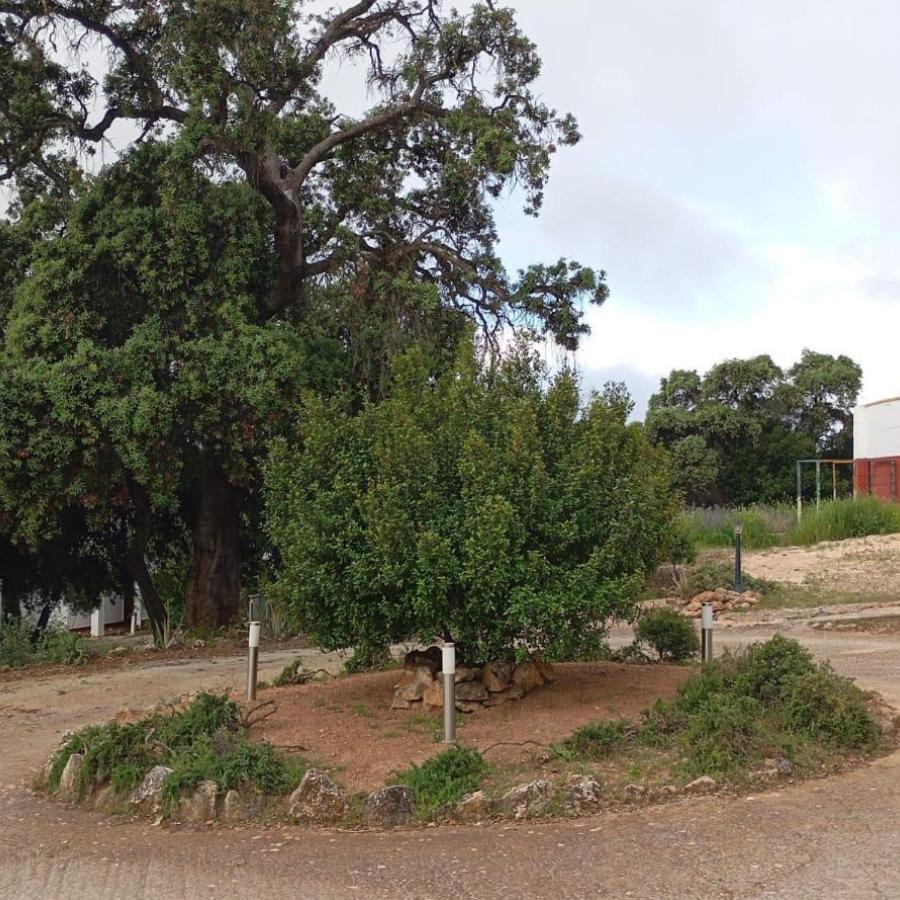 Casas Rurales Cortijo La Canada Estepa Exterior foto