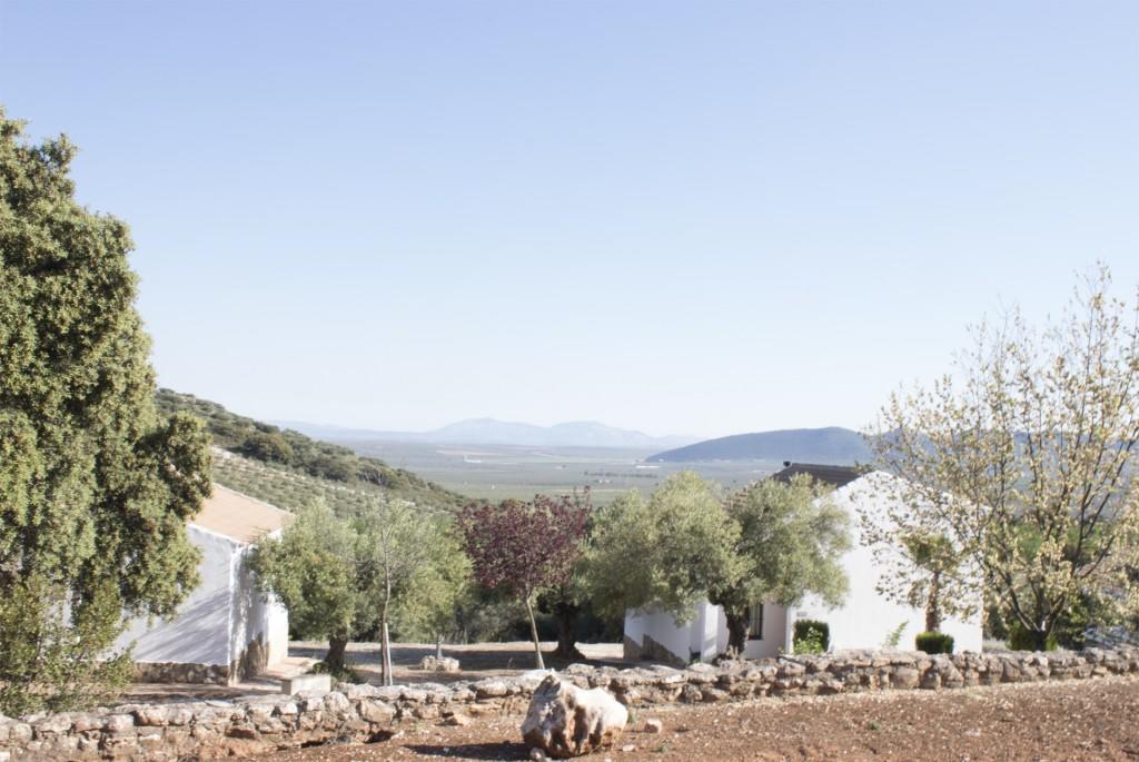 Casas Rurales Cortijo La Canada Estepa Exterior foto